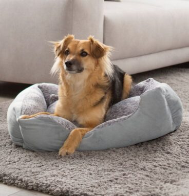 Petstuff Pelíšek pro psa, velikost L, 80 x 70 x 20 cm, šedý