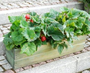 Dřevěný truhlík na květiny, 44 cm