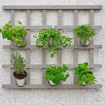 Květináče na bylinky, závěsný systém