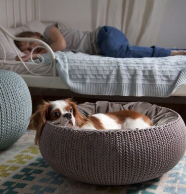 Pelíšek pro malá plemena KNIT - šedomodrý CURVER