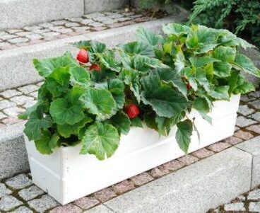 Dřevěný truhlík na květiny - 44 cm, bílý