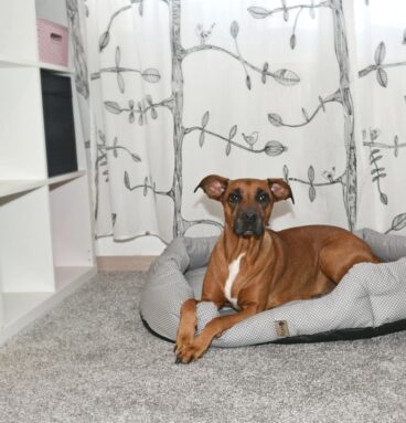 Pelíšek Puňťa, 90 cm