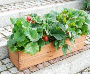 Zahradní květináč truhlík, 64 cm, hnědý