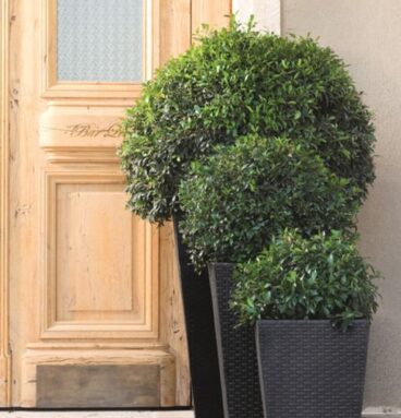 Květináč ratanového vzhledu plastový, M